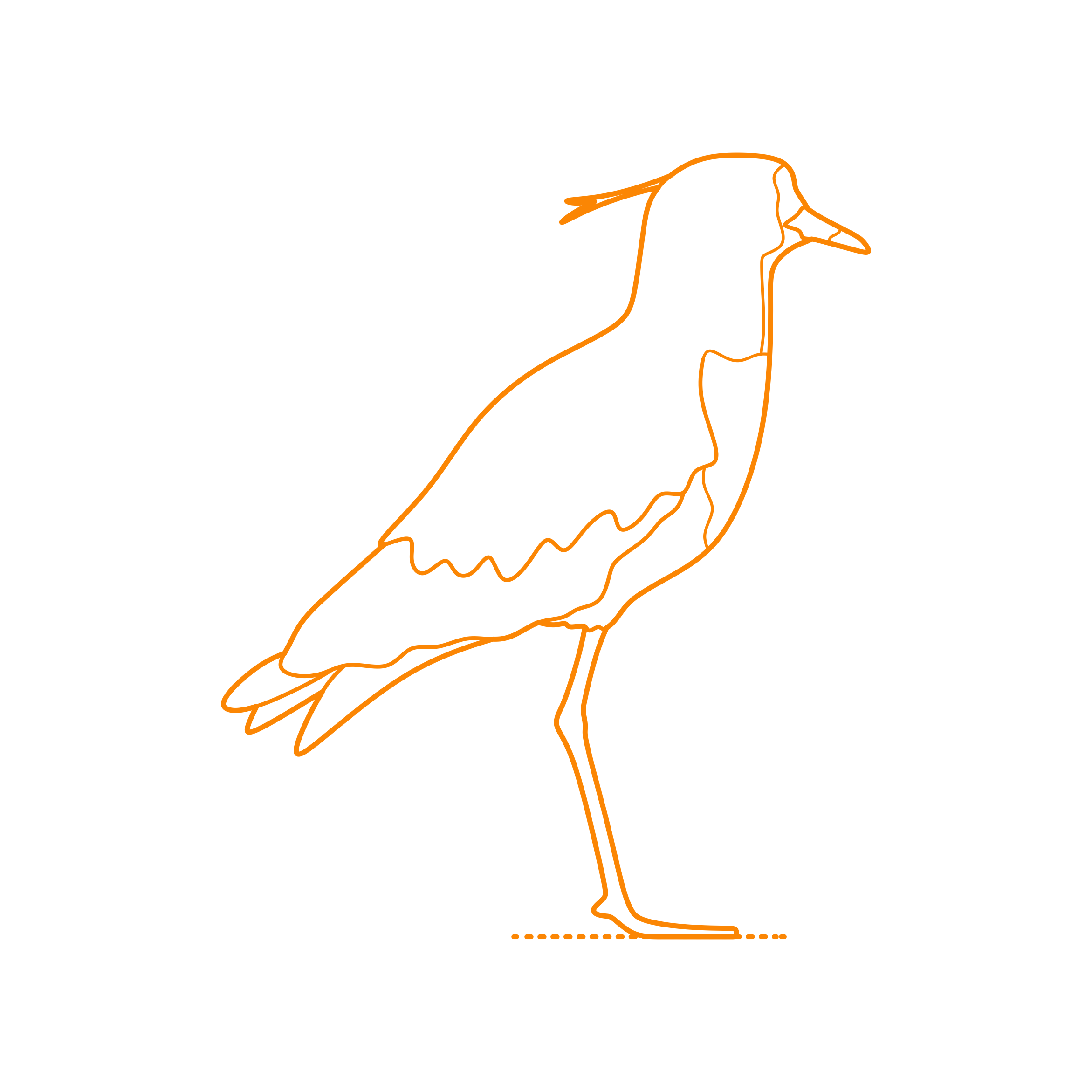 Animals Shorebirds Southern Lapwing Contour Svg Vector Free Vectors